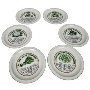 Vintage 80s Toscany Vinaigrette Salad Plates Set 6 French Recipe Japan 7.5"